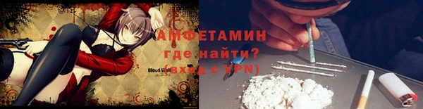дживик Майский