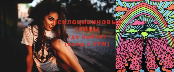 дживик Майский